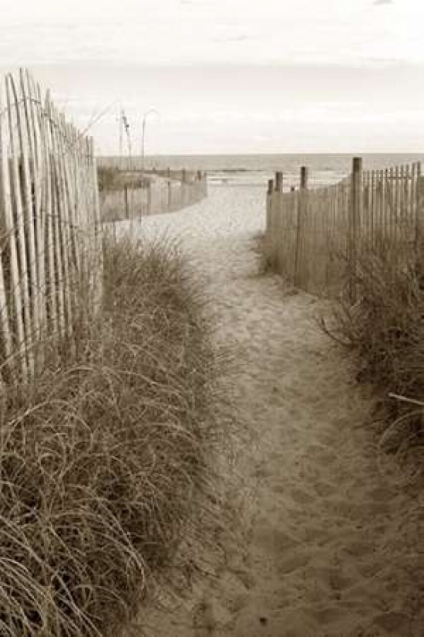 Beach Trail 1 Poster Print by Amber Light Gallery - Item # VARPDX442AMB1019